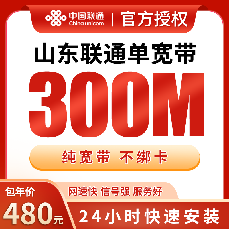 山东联通480元包1年单宽带300M【不含调试费】