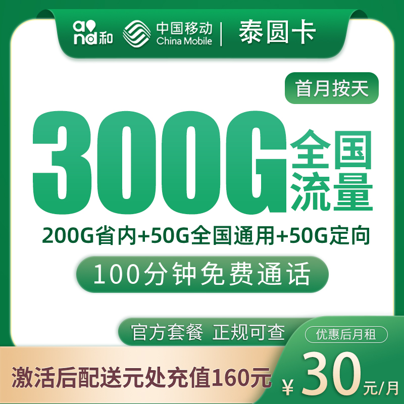 移动泰圆卡30元300G+100分钟【只发山东】